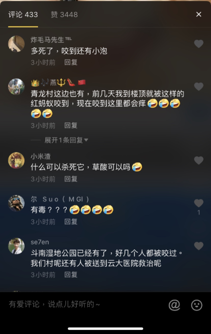 “红火蚁”昆明现身12.png