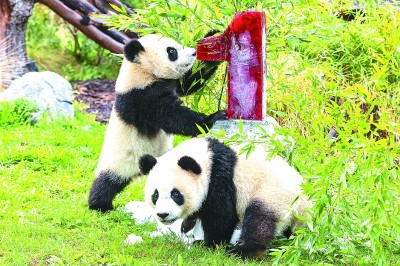 德国汉学家胜雅律:从中华文明基因看构建后疫情时代的生态文明 德国汉学家胜雅律:从中华文明基因看构建后疫情时代的生态文明