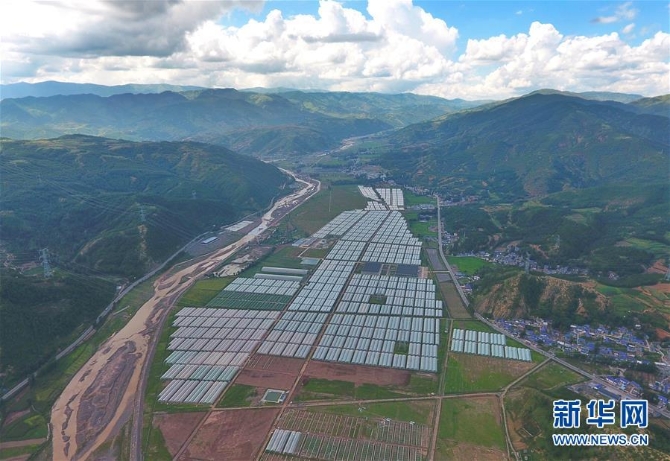 (新华全媒头条·决战决胜脱贫攻坚·督战未摘帽贫困县·图文互动)(10)苦荞花开大凉山——四川7个未摘帽县脱贫攻坚一线观察