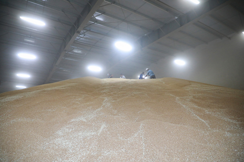 阜阳|3000元变300万 阜阳三星村“变形记”