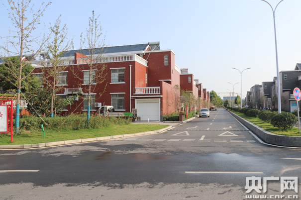 岸边|【中部崛起势正劲：河南篇】黄河岸边的马渡村 绘就美丽乡村新图景