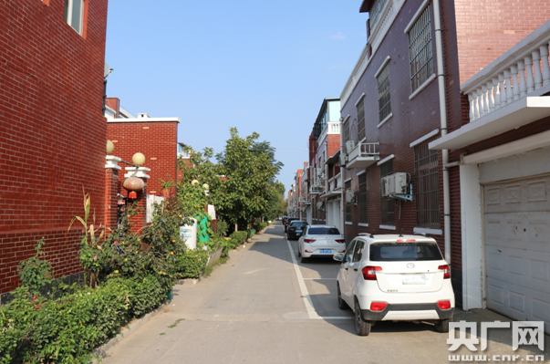 岸边|【中部崛起势正劲：河南篇】黄河岸边的马渡村 绘就美丽乡村新图景