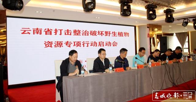 云南启动打击整治破坏野生植物资源专项行动,为期3个月,紧盯3个方面!2.jpg