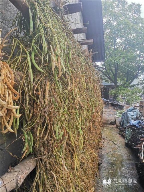 QQ图片20200917150405