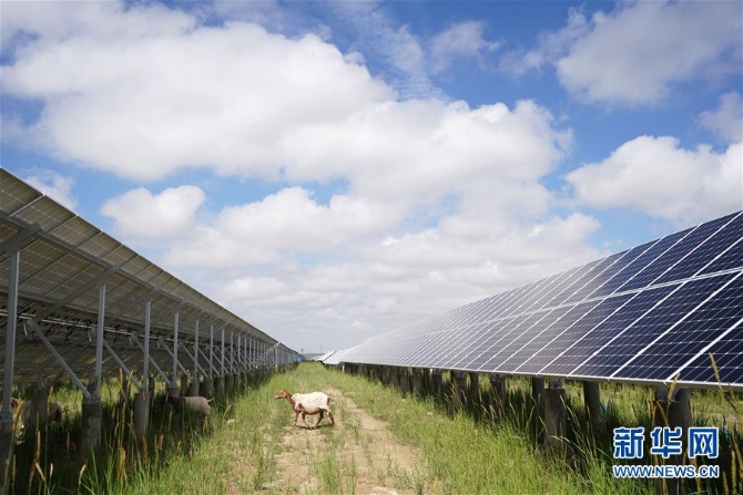 (新华全媒头条·走向我们的小康生活·决战决胜脱贫攻坚·图文互动)(2)高原上绽放的光芒——来自青海攻克深度贫困堡垒的故事