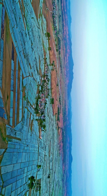 ▲ 黑龙江五常水稻田。摄影/赵天华