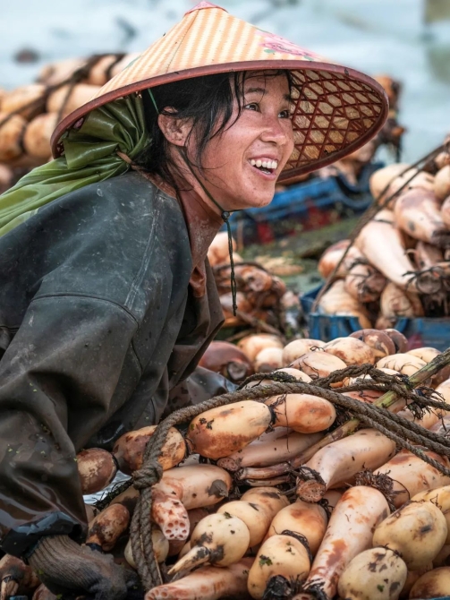 ▲ 广东江门台山，村民喜悦丰收莲藕。摄影/邱新生