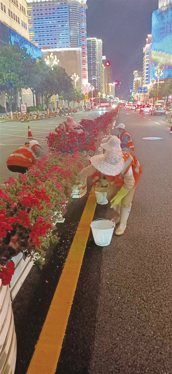 20200923A07_res07_attpic_brief