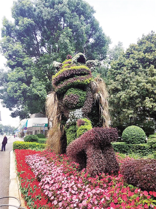 20200923A07_res11_attpic_brief