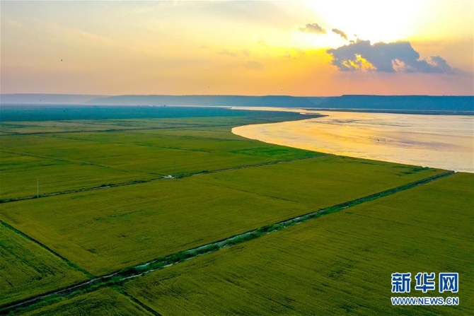 （新华全媒头条·图文互动）（4）天道酬勤的大地赞歌——写在第三个中国农民丰收节之际