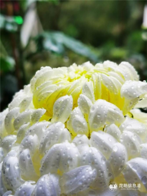 微信图片_20200923171101