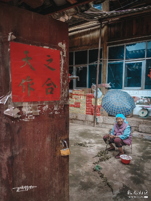 16010003684823239990085603518_5560