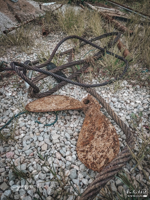 16010003687807886856237979501_5560