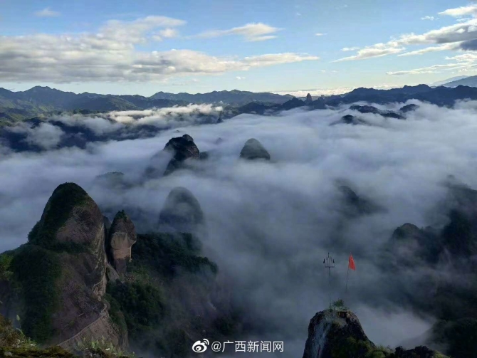 002at3vTgy1gj2qmvlri3j61400u0dhm02