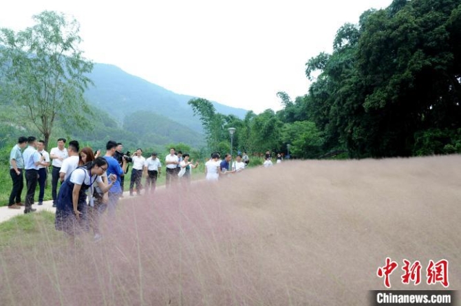 媒体记者参访华安县黄枣村。　张金川 摄