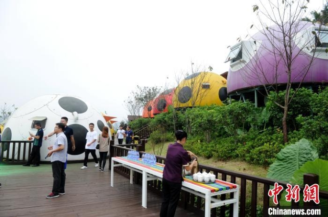 瓢虫屋已成为官畲村的一个打卡点。　张金川 摄