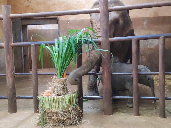 QQ图片20200926225009