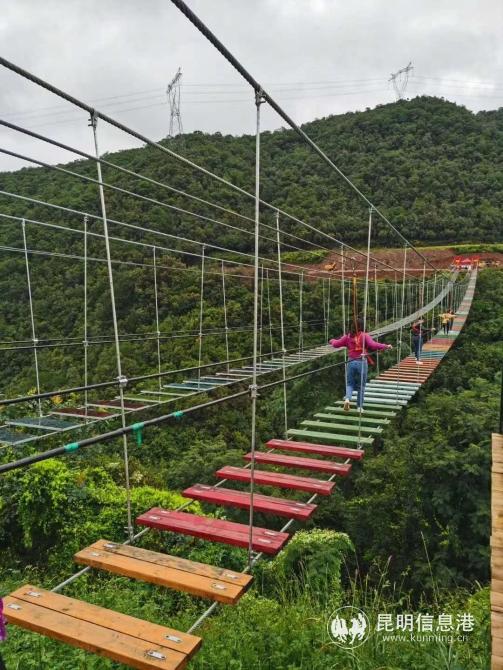 核桃箐小组彩色稻田 核桃箐小组彩色稻田