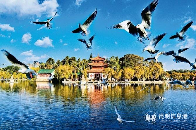 大观公园 大观公园