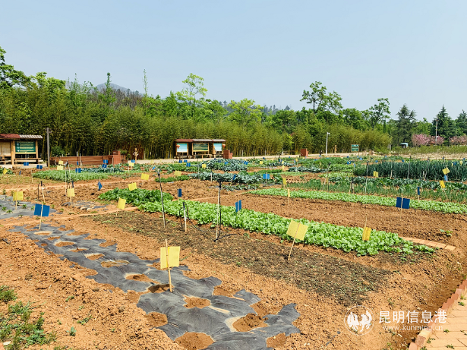 睿野自耕农庄园 睿野自耕农庄园