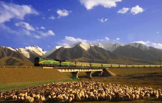 本文图片均为曹姬钰  吴正华 马建林 摄（除署名外）