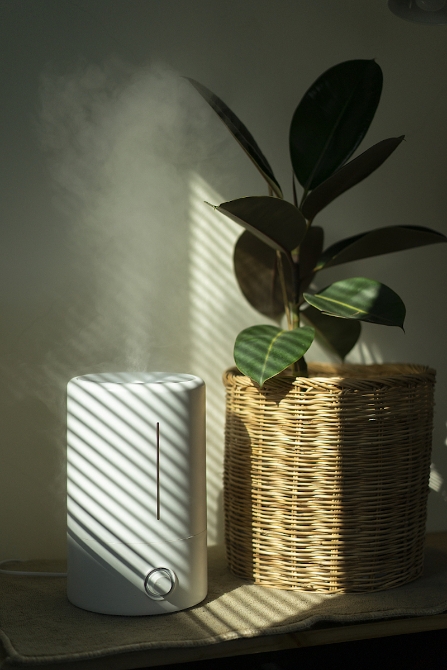 超声波式加湿器是市场上最常见的加湿器