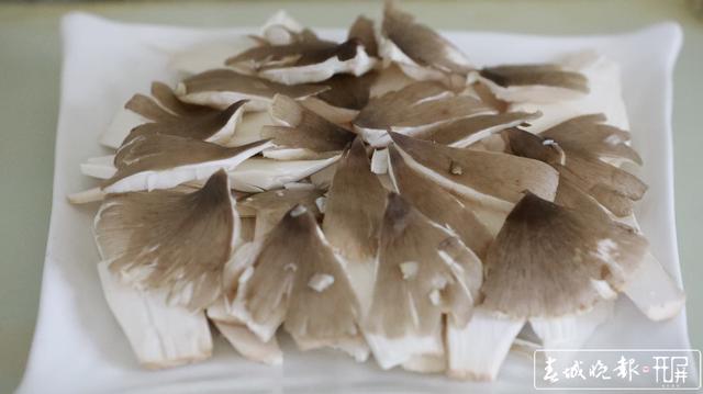 鲜嫩可口 周末来施甸赴一场鸡枞盛宴