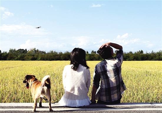 20201023A10_res03_attpic_brief