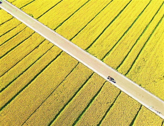 20201023A10_res07_attpic_brief