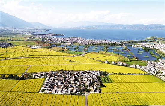 20201023A10_res11_attpic_brief