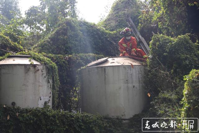 猪场停水两天,消防员给750头“二师兄”送水解渴 (1).jpg