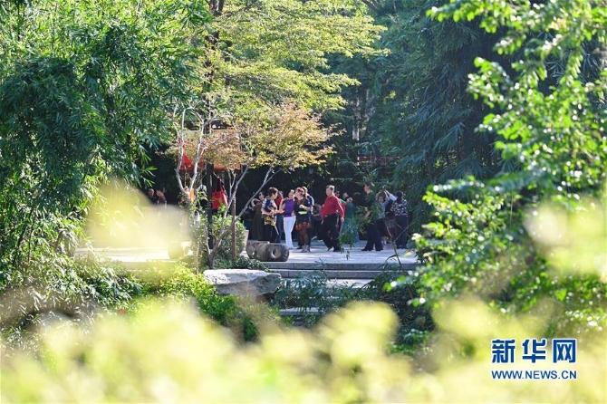 （生态）（4）榕城金秋绿意浓