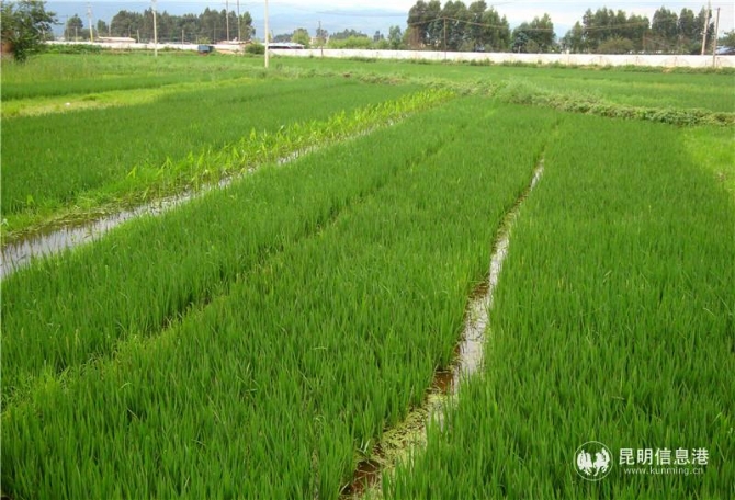 微信图片_20201028141806