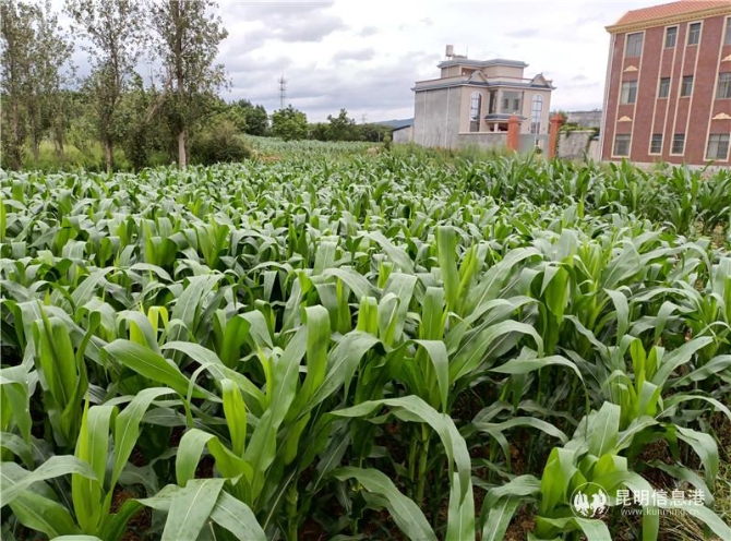 微信图片_20201028141814