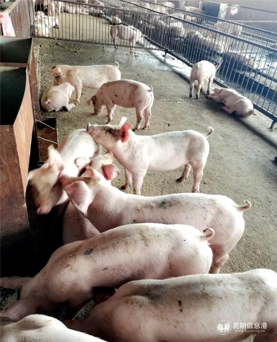 微信图片_20201028141820