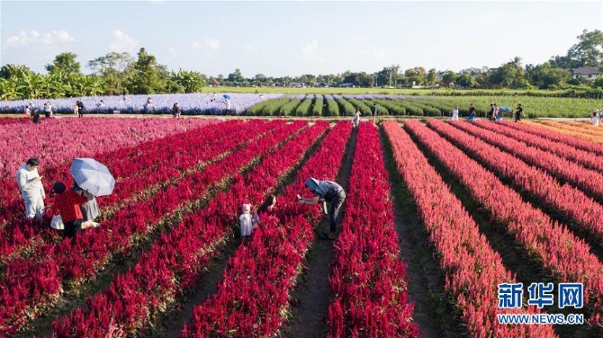 1126693589_16044022871441n 1126693589_16044022871441n