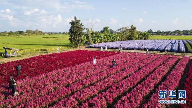 1126693589_16044022871151n 1126693589_16044022871151n