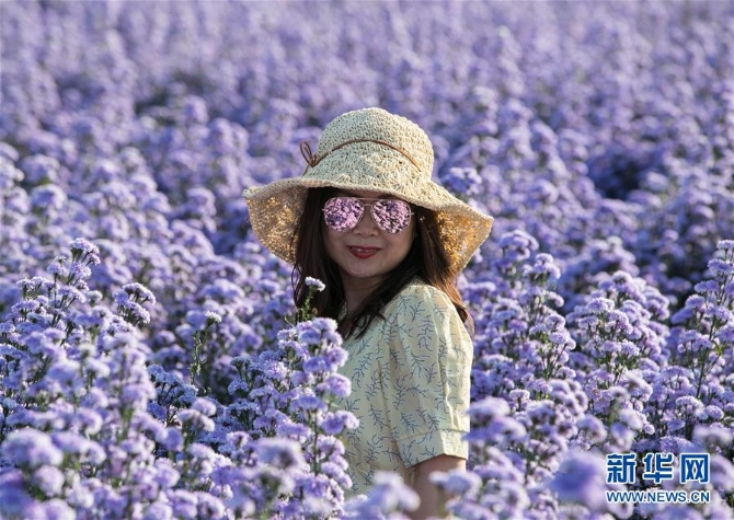 1126693589_16044022870101n 1126693589_16044022870101n