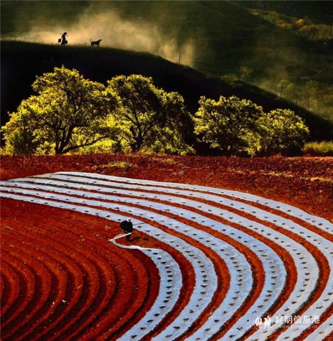 作品：《大地旋律》 摄影者：佟伟元 昆明