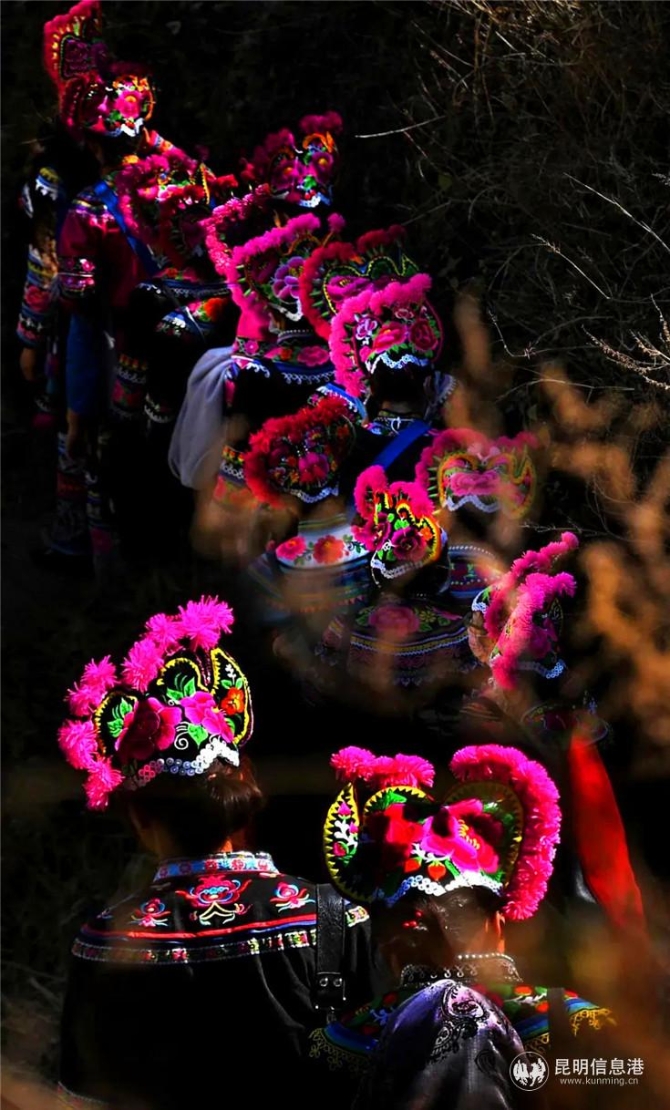 作品：《归途》 摄影者：彭学名 昆明