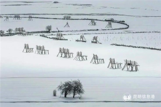 作品：《洁白的世界》 摄影者：追艺 昆明