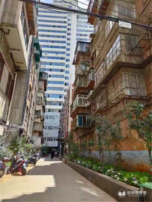 微信图片_202011101630012