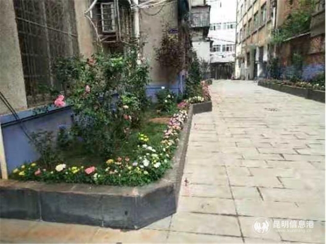 微信图片_202011101630013