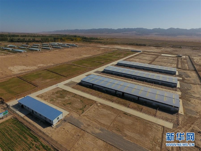 （图文互动）（3）新疆柯坪县：戈壁滩上发“驼”财