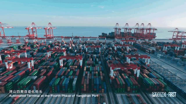 ▲中交集团承建洋山港四期全自动化码头