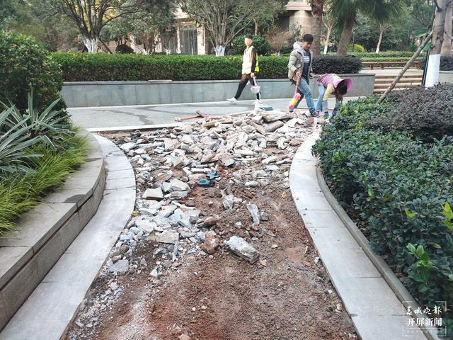 不用出钱？昆明一小区里的石板路面突然被“免费”打碎换铺透水材料，业主表示不知情、不接受