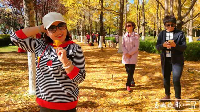 大观公园银杏林成昆明网红打卡点图 (2)_副本.jpg