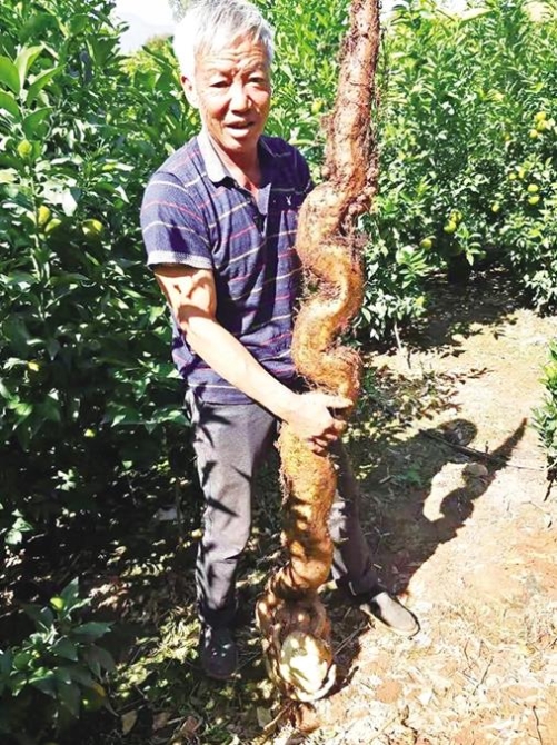 00302841728_95b9f6ee