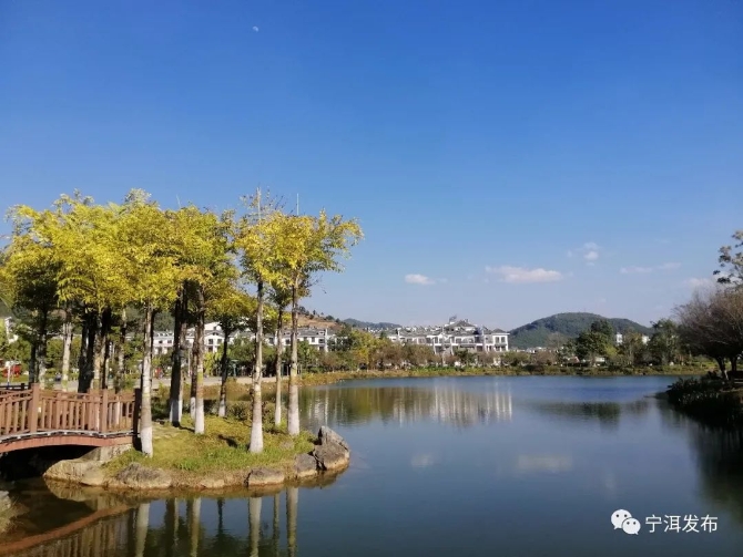 00302860074_f4fb3fe4