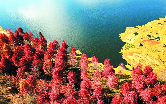 微信图片_20201129194512